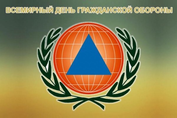 Международная организация гражданской обороны (мого)