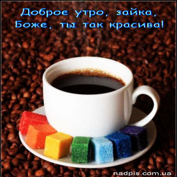 Доброе утро