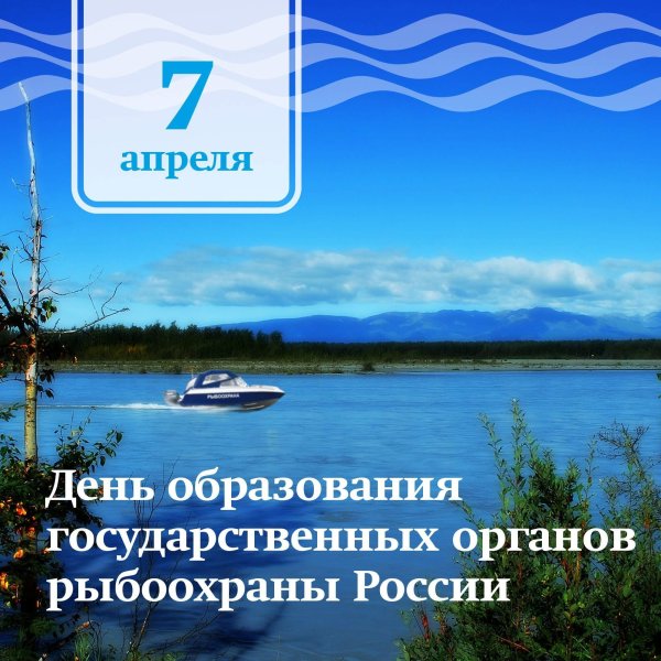 Картинки с днем рыбоохраны (48 фото)