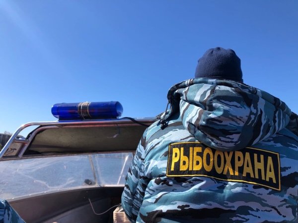 День рыбака 2021 картинки