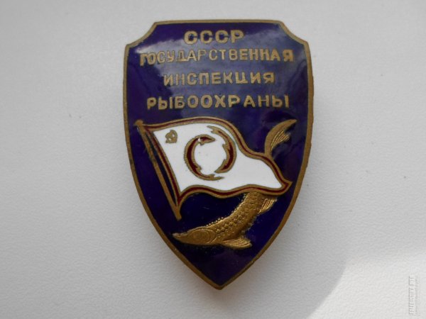 Рыбалка живопись