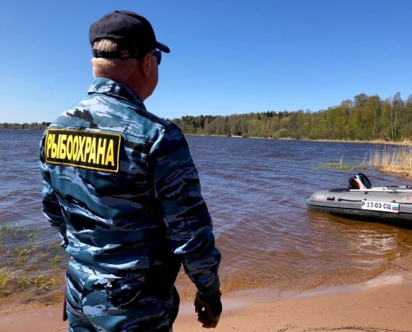 Мирный день рыболовства