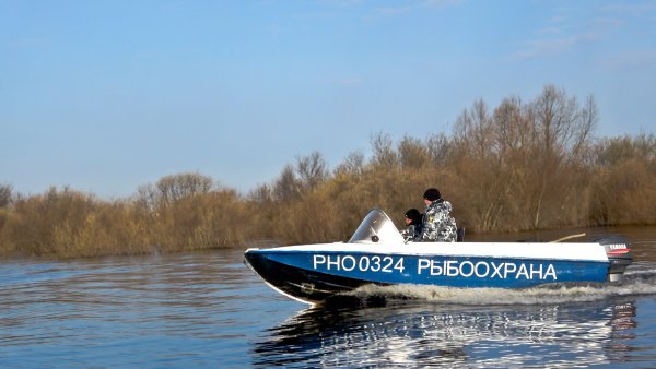 Алексей Алексеевич инспектор рыбоохраны