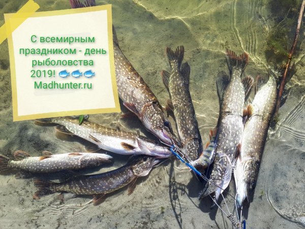 Инспектор рыбоохраны