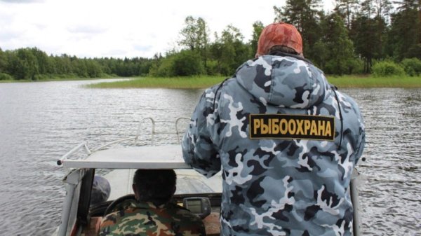 Футболка рыбоохрана