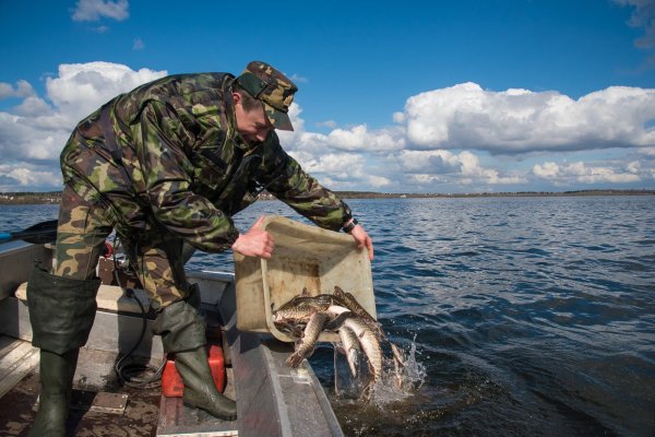 Форма рыбоохраны