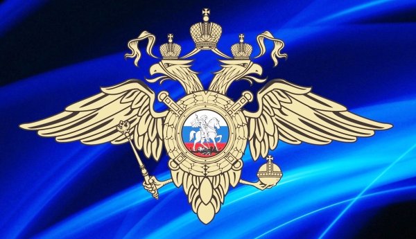 Символика МВД