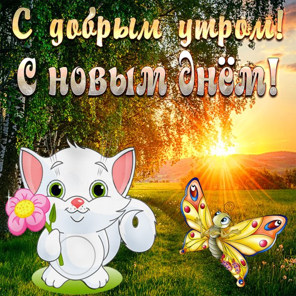 Пожелания доброго утра