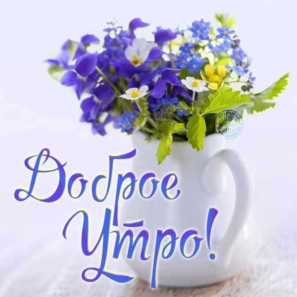С добрым утром