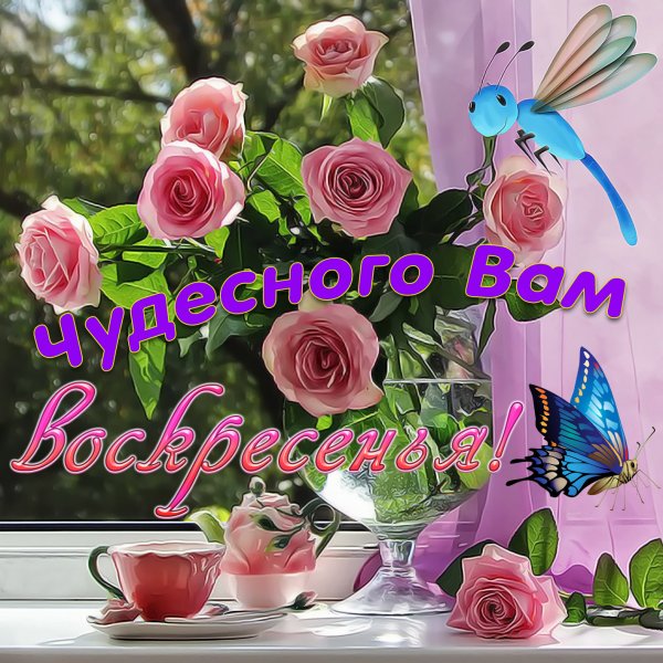 Поздравления с добрым днем красивые