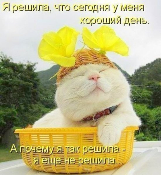 Открытки для поднятия настроения