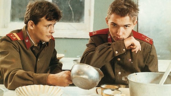 Маленький заборчик 111 дней службы