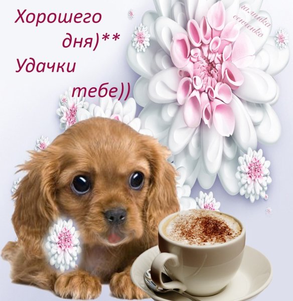 Хороший день