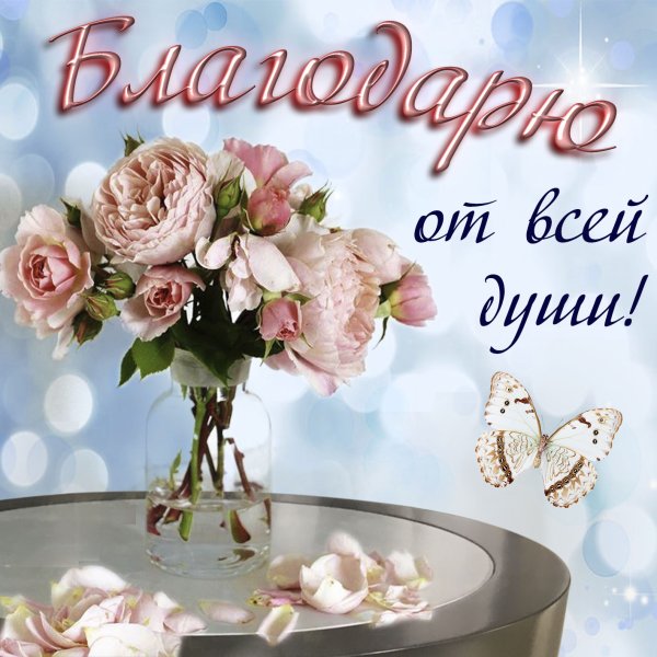 Благодарю от всей души