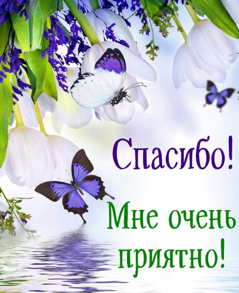 Открытки с благодарностью спасибо