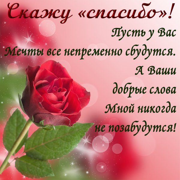 Спасибоща поздравления