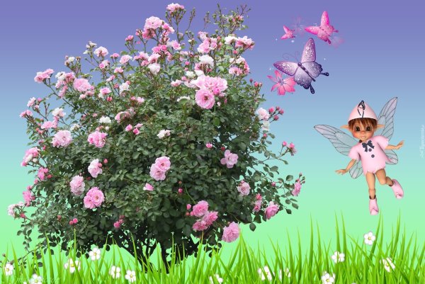 Сказочные кусты и цветы