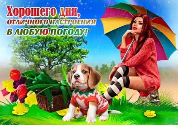 Картинки хорошего дня и отличного настроения в любую погоду (46 фото)