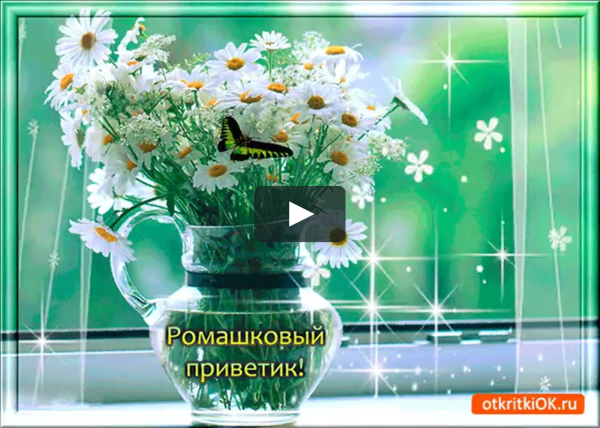 Прекрасного дня и отличного настроения с ромашками