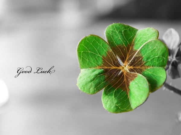 Открытки с пожеланиями хорошей недели