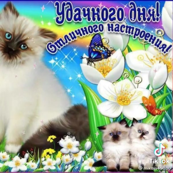 Открытки с пожеланиями хорошего дня