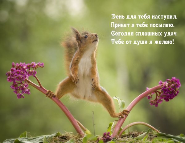 Добрый день необычные