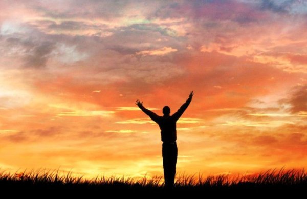 Навстречу солнцу