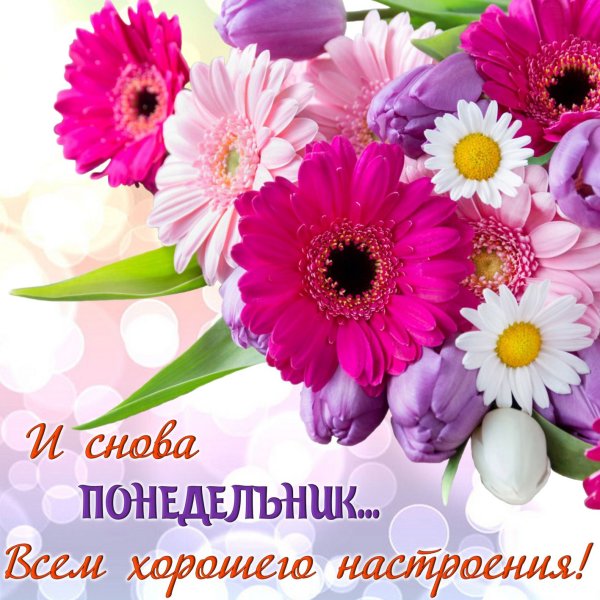 Прекрасный день