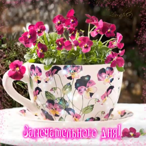 Открытки удачного дня