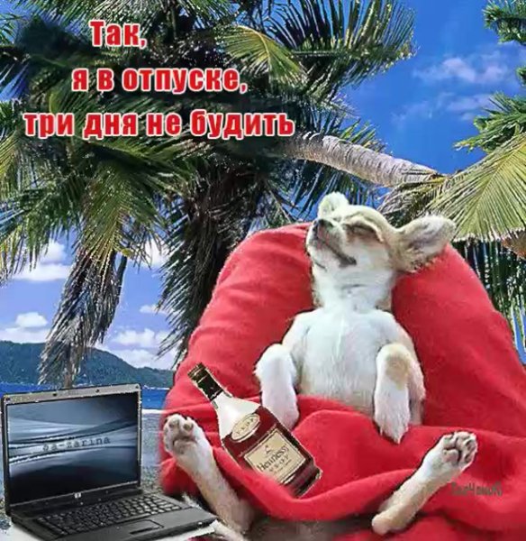 Открытка я в отпуске
