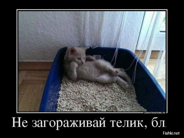 Шутки про отпуск в картинках