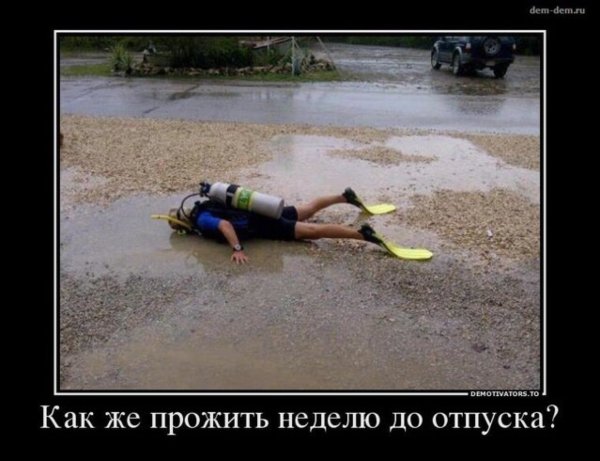 Неделя до отпуска