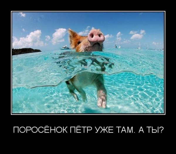 Отпуск прикол