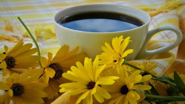 Доброе утро и отличного настроения