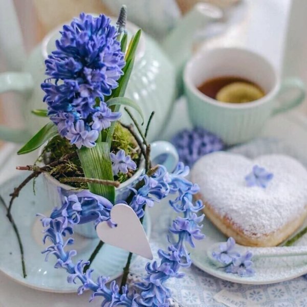 Нежного весеннего утра