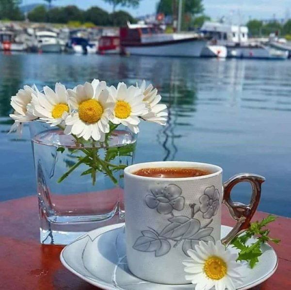 Доброе летнее утро