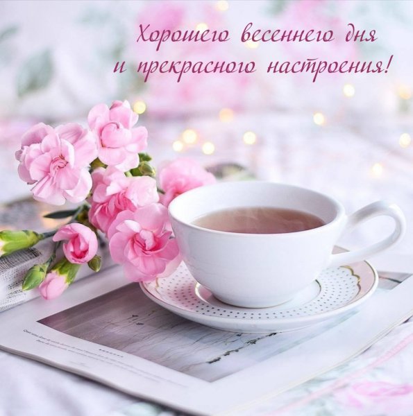 Нежные утренние цветы