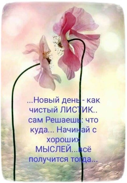 Позитивные высказывания на каждый день