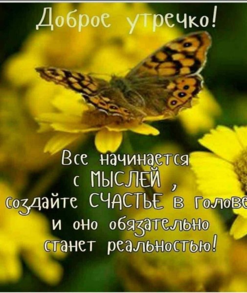 Афоризмы добрый день