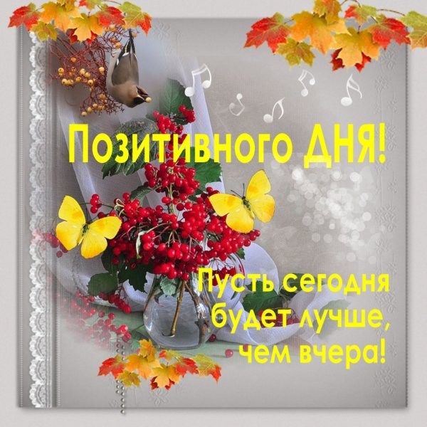 Пожелания доброго дня