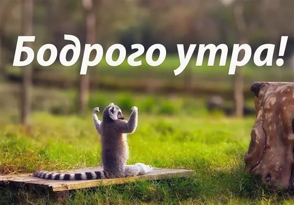 Бодрого доброго утра