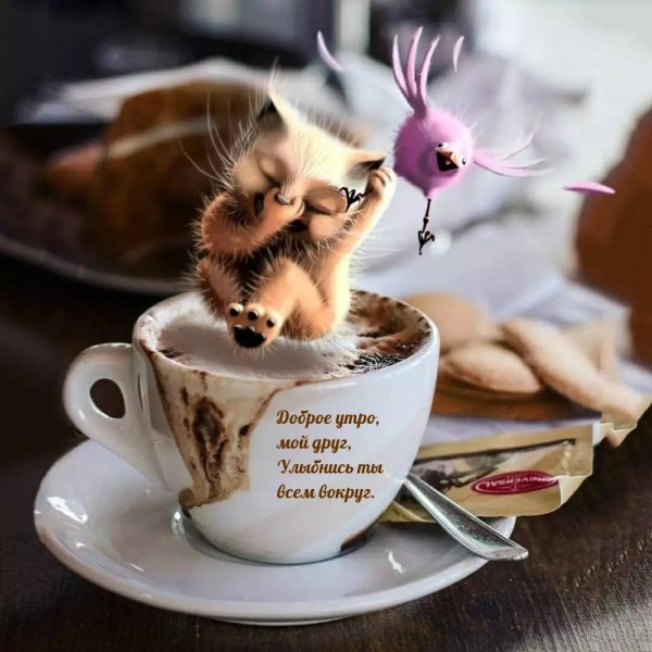 Веселое утро