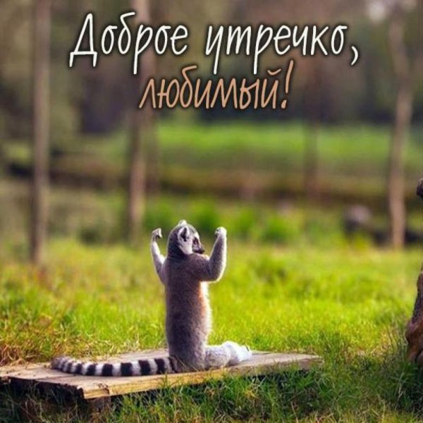 Бодрого понедельника