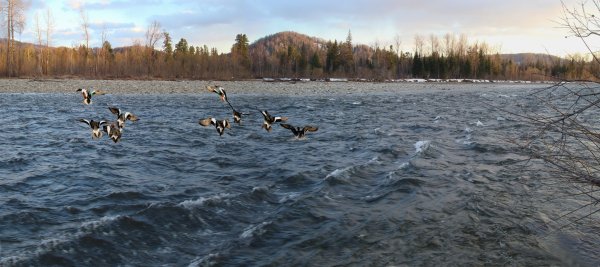 День водных ресурсов