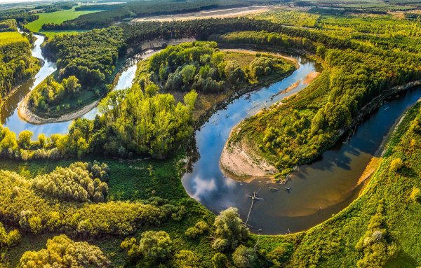 Река Лемовжа Ленинградская область