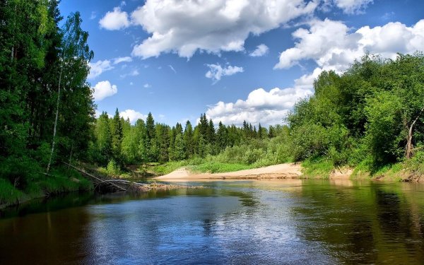 Уборка мусора в воде