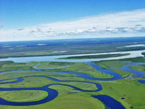 Всемирный день воды