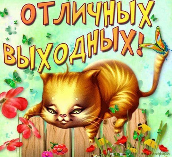 Хороших выходных