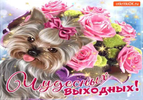 Замечательных выходных