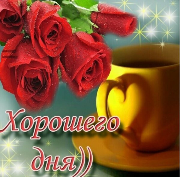 Хороший день